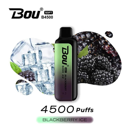 Bou Soft B4500 Disposable Vape | Blackberry Ice 4500