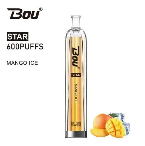 Bou Star 600 | Disposable Vapes | Mango Ice 