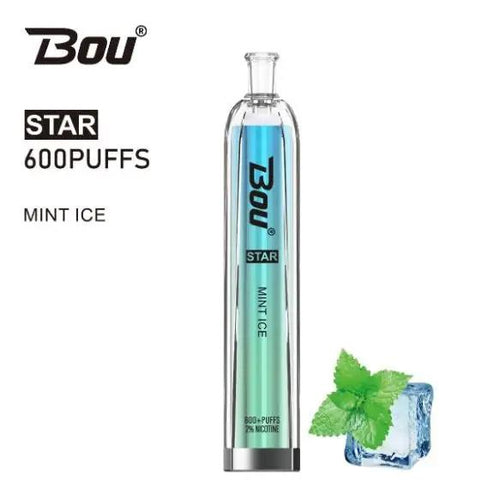 Bou Star 600 | Disposable Vapes | Mint Ice